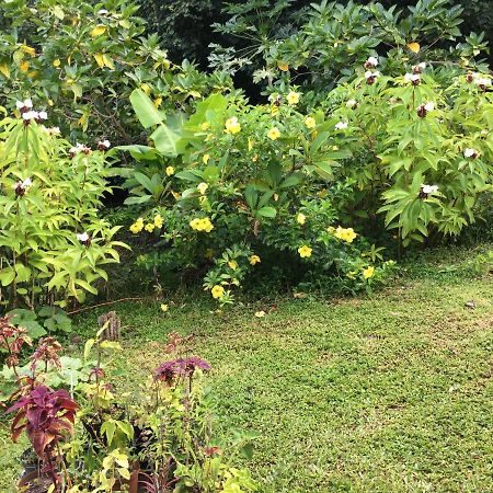Pension Te Aroha - Te Haumaru Maatea المظهر الخارجي الصورة